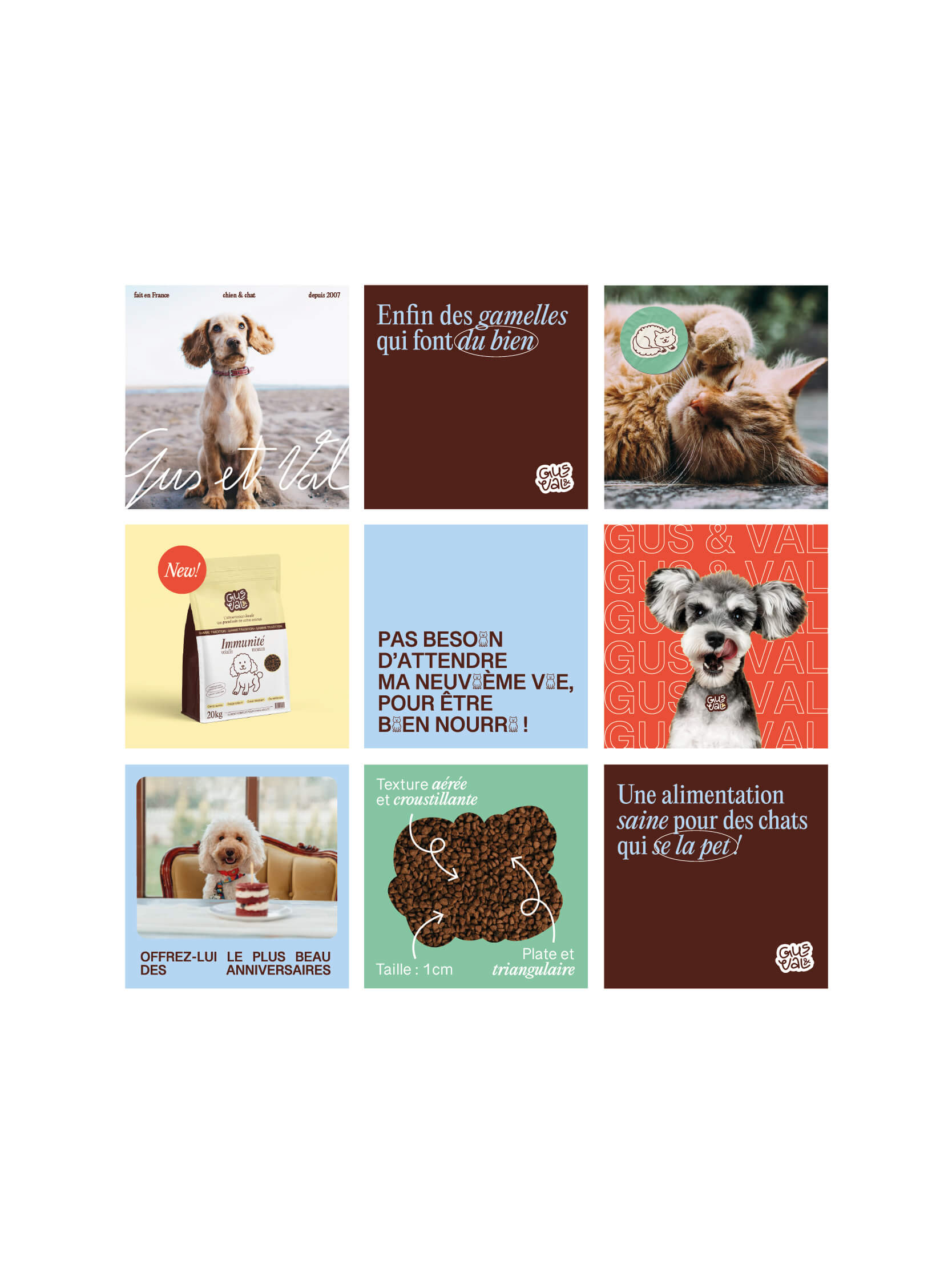 graphiste-saumur-identité-graphique-logo-alimentation-chien-chat-2.1