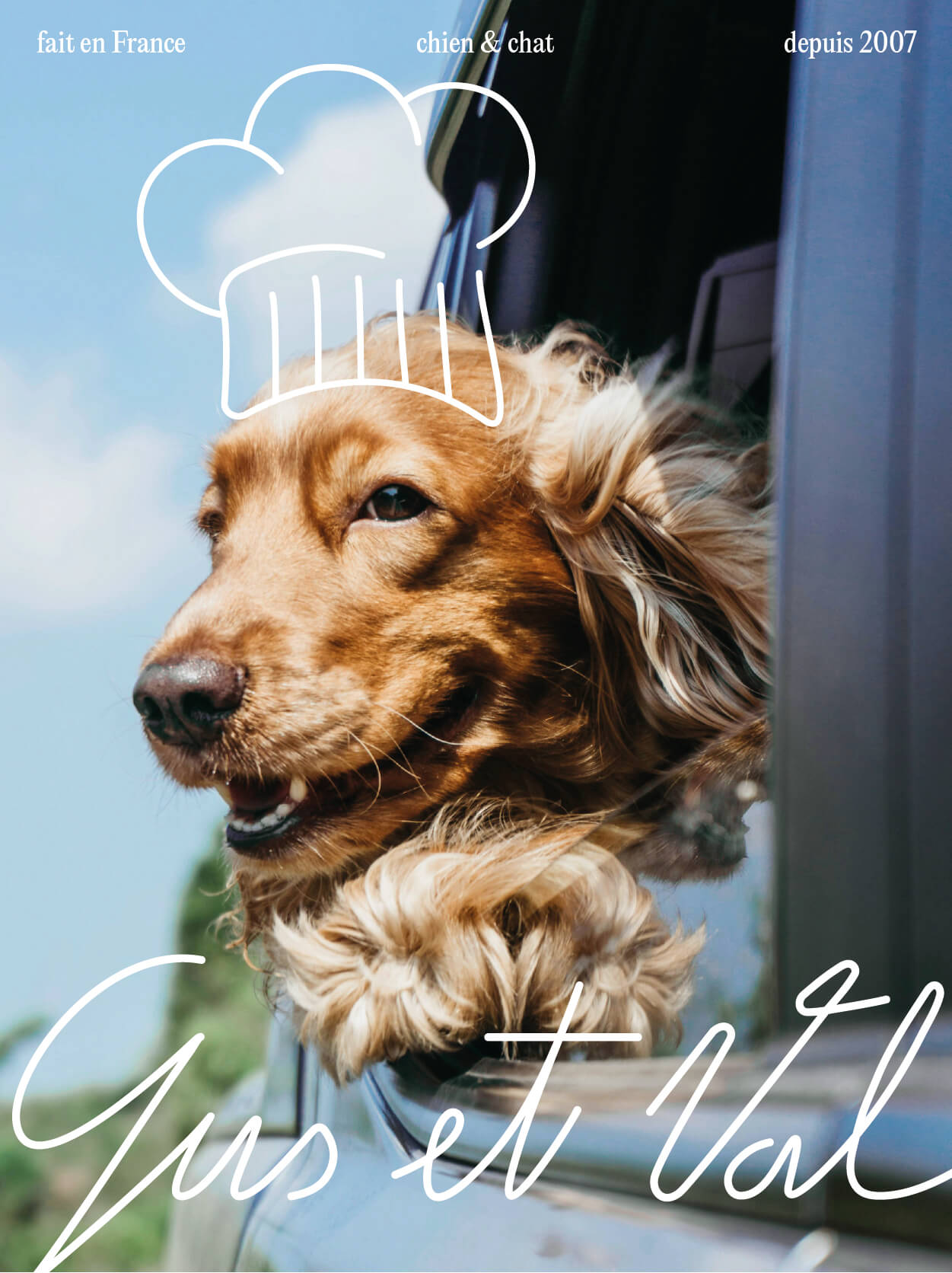 graphiste-saumur-identité-graphique-logo-alimentation-chien-chat-6